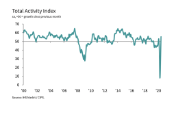 Total Activity Index