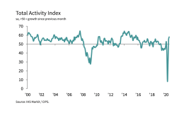 Total Activity Index