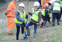 Tree planting