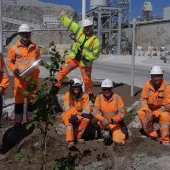 Tunstead employees planted native trees and shrubs in a new green space located on site