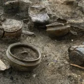 Some of the Bronze Age artefacts found at Must Farm. Photo: Dave Webb, Cambridge Archaeological Unit (CAU)