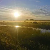 Oare Marshes. Photo: Nadia Ward