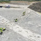 Excavation of the dinosaur tracks at Dewars Farm Quarry. Photo: University of Birmingham