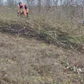 The Conservation Volunteers helping to enhance restored habitats at Mountsorrel Quarry