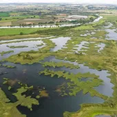 Today, around 70ha of reed bed dominate the Langford Lowfield Nature Reserve