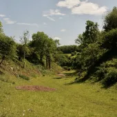 Flag Dale in the Peak District