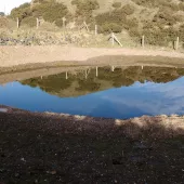 Clee Hill pond