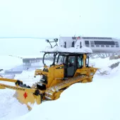 Seeker - a Cat D6N dozer