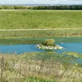 Hermitage Quarry