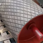 Conveyor drum