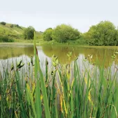 Tarmac's Tunstead site