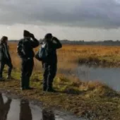 St Aidans nature reserve