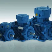 WEG explosion-proof induction motors