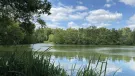 Hilton Gravel Pits SSSI