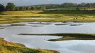 Part of Nosterfield Nature Reserve - Photo: Lower Ure Conservation Trust