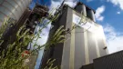 Ecocem are to construct four new production lines in France, accelerating the delivery of their ACT scalable low-carbon cement technology