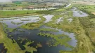 Today, around 70ha of reed bed dominate the Langford Lowfield Nature Reserve